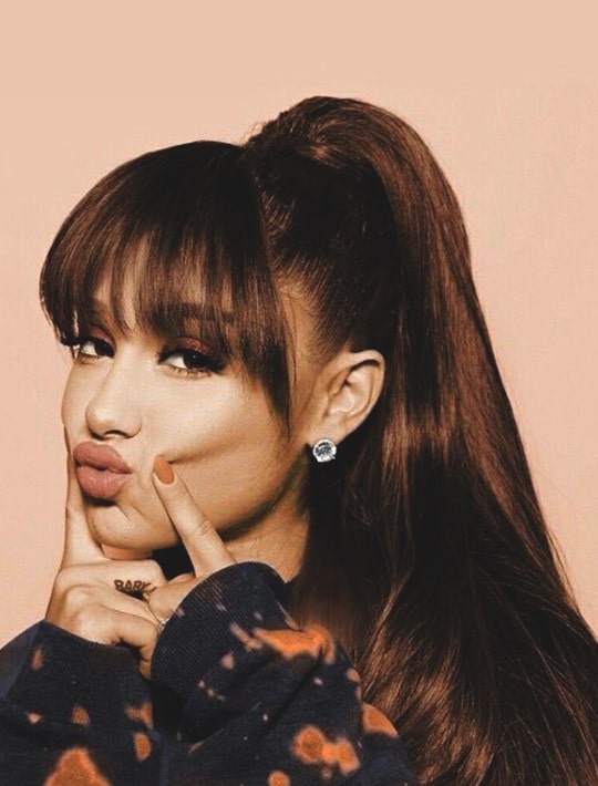 Ariana Grandes Whole The Best Hairstyle Looks Ecemella