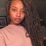 passion-twists-protective-hairstyles-for-black-women