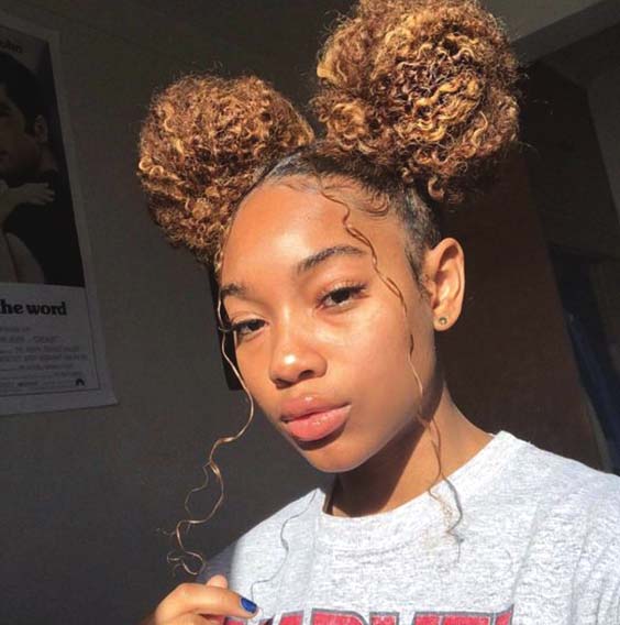 Protective Hairstyles For Black Women Double Buns Ecemella