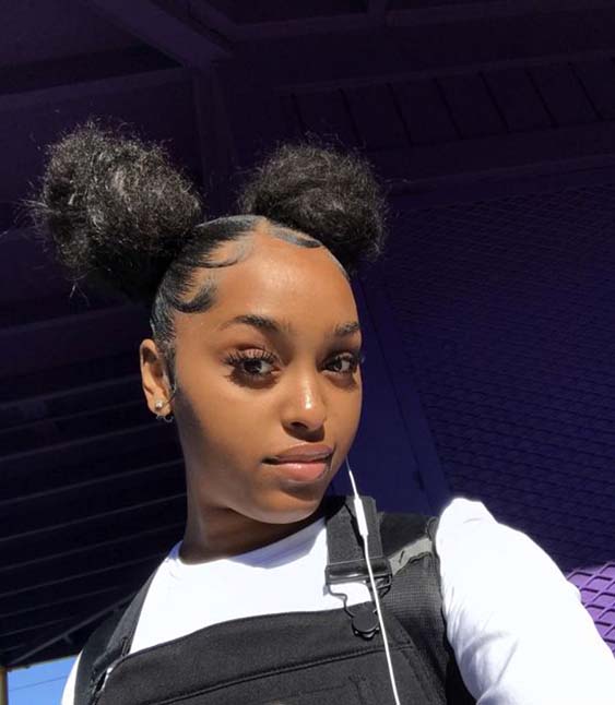 Protective Hairstyles Summer 2019 Double Buns Ecemella