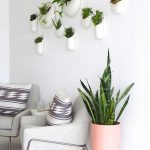 indoor-wall-plant-pots-wall-decor-idea