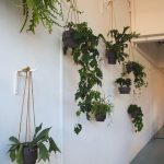 indoor-wall-pots-decor-idea-wall-decoration