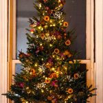 citrus-diy-christmas-tree-decor